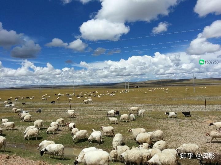 西藏季节旅游去哪里好玩_去西藏旅游什么季节_西藏适合旅游季节