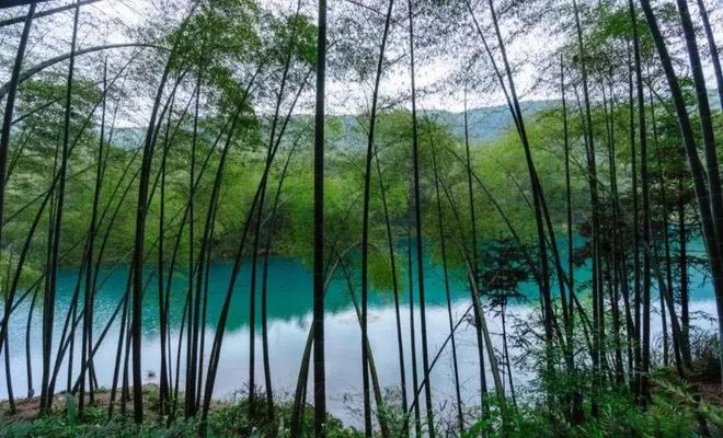 成都避暑景点_成都避暑旅游景点大全_成都出发的避暑游旅游线路