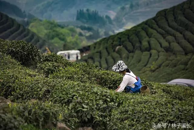 汉中出游好去处_汉中近处旅游_汉中旅游时节几点去比较好