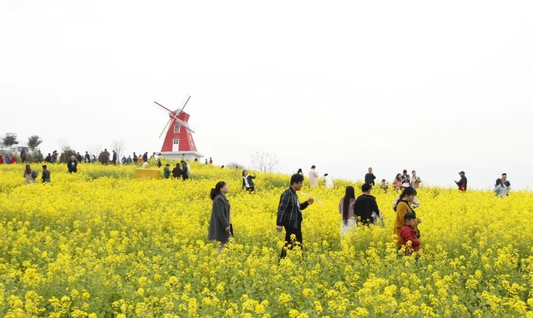 汉中近处旅游_汉中旅游时节几点去比较好_汉中出游好去处