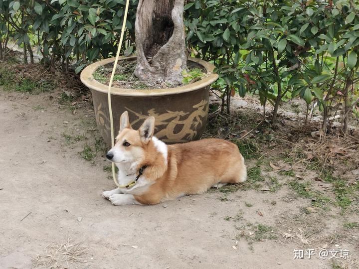 黄山个人旅游攻略_黄山旅游攻略怎么做_黄山旅游自由行攻略