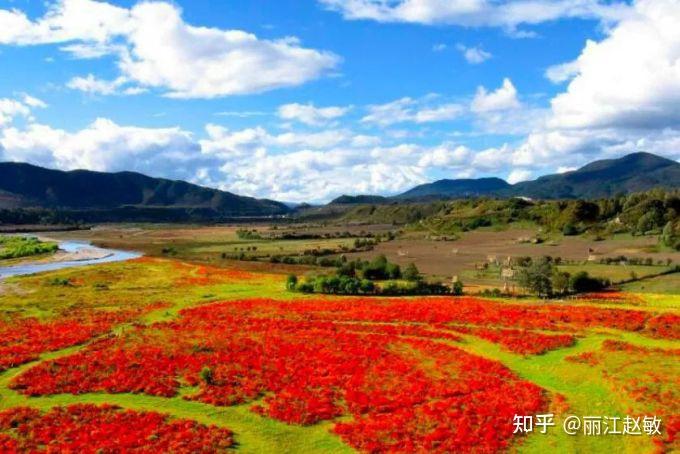 洱海旅行团旅游_洱海跟团游三天多少钱_洱海旅游团自由行