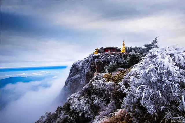 峨眉山绿茶典故_峨眉山旅游喝茶套路_在峨眉山景区买茶叶被骗