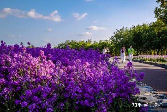 苏北特色旅游景点介绍_苏北旅游推荐_苏北特色旅游