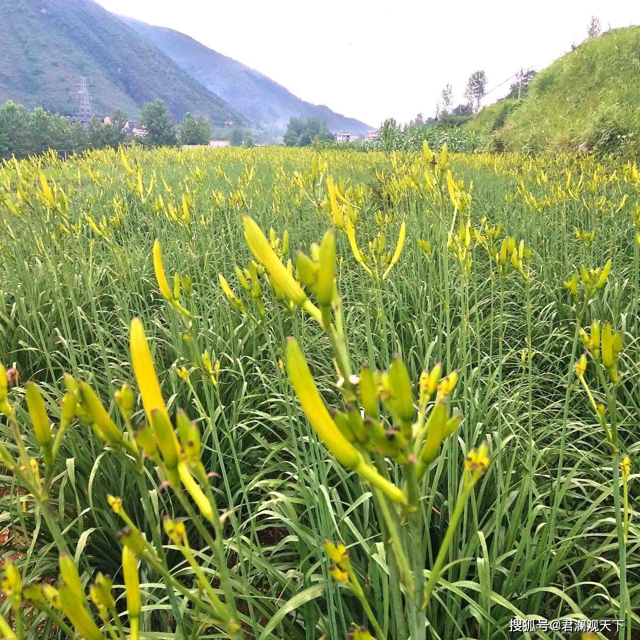 甘肃庆阳周边游_自驾甘肃庆阳市旅游_甘肃庆阳附近旅游景点