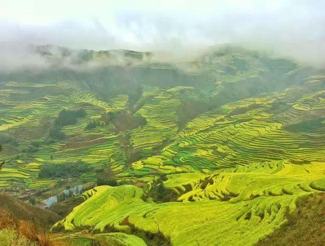 元阳梯田的旅游时节是什么_元阳梯田季节_元阳梯田春节开门么