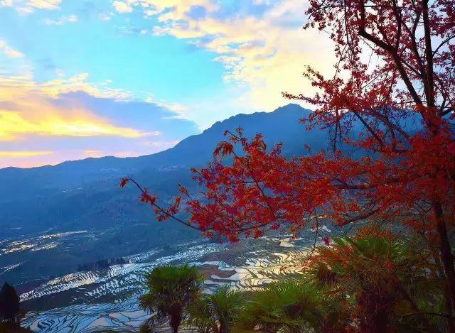 元阳梯田的旅游时节是什么_元阳梯田季节_元阳梯田春节开门么