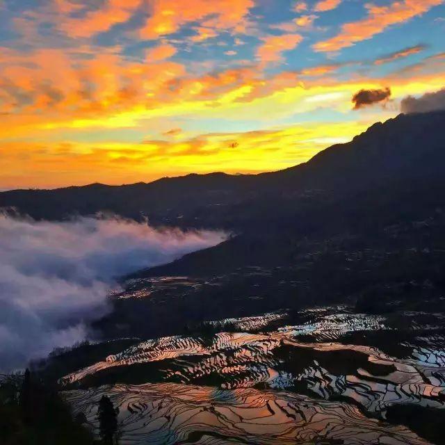 元阳梯田季节_元阳梯田的旅游时节是什么_元阳梯田春节开门么