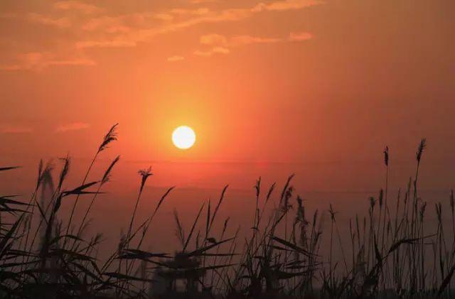 宁夏旅游地区好玩的风景图片_宁夏好玩的地方排行榜_宁夏好玩的