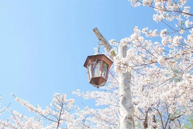 抚仙湖最佳旅游季节_抚仙湖旅游旺季_抚仙湖必玩景点