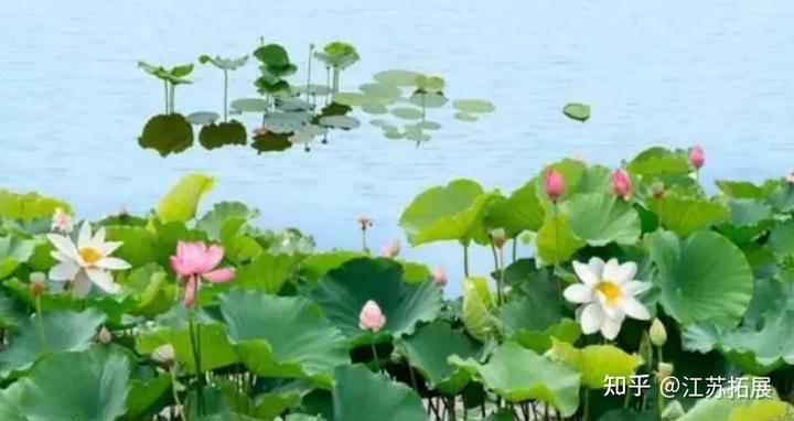 抚仙湖一日游游玩顺序_抚仙湖最佳旅游季节_抚仙湖自由行攻略