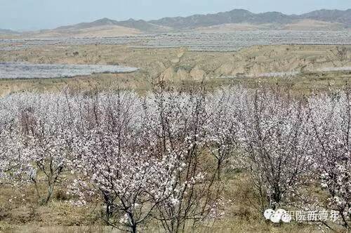 地方特色旅游的文化价值_独具地方文化旅游特色_文化特色旅游景点