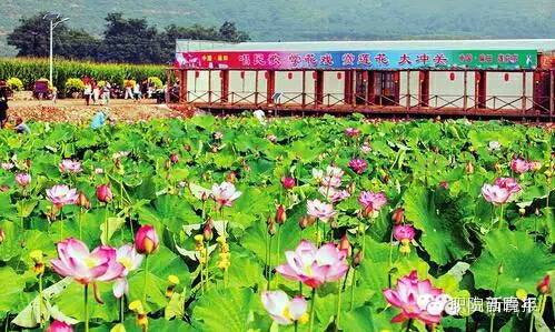 地方特色旅游的文化价值_文化特色旅游景点_独具地方文化旅游特色