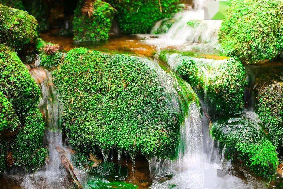 常山著名景点_常山游记_常山特色旅游