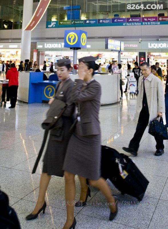 帕劳旅游团_自由行帕劳旅游_帕劳旅游攻略费用