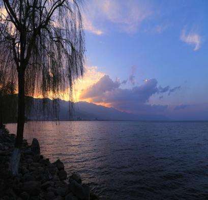 昆明有花海的旅游景点_花海云南昆明_昆明花海旅游景点