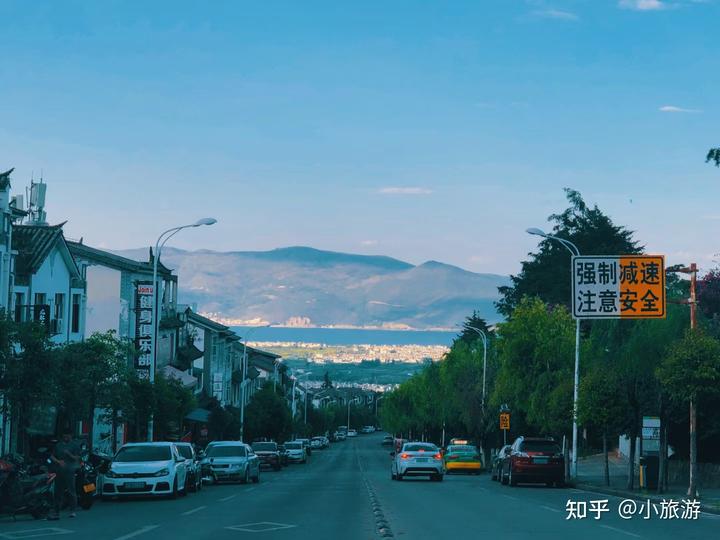 花海云南昆明_昆明花海旅游景点_昆明有花海的旅游景点