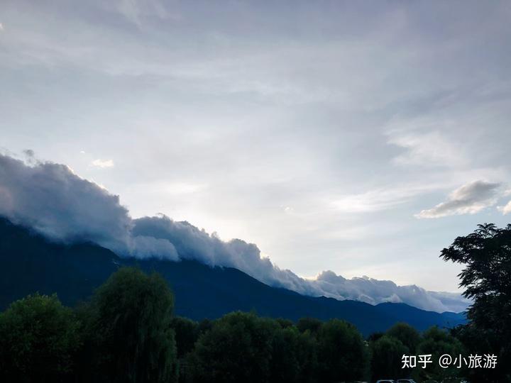 昆明有花海的旅游景点_花海云南昆明_昆明花海旅游景点