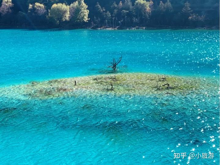 昆明有花海的旅游景点_昆明花海旅游景点_花海云南昆明