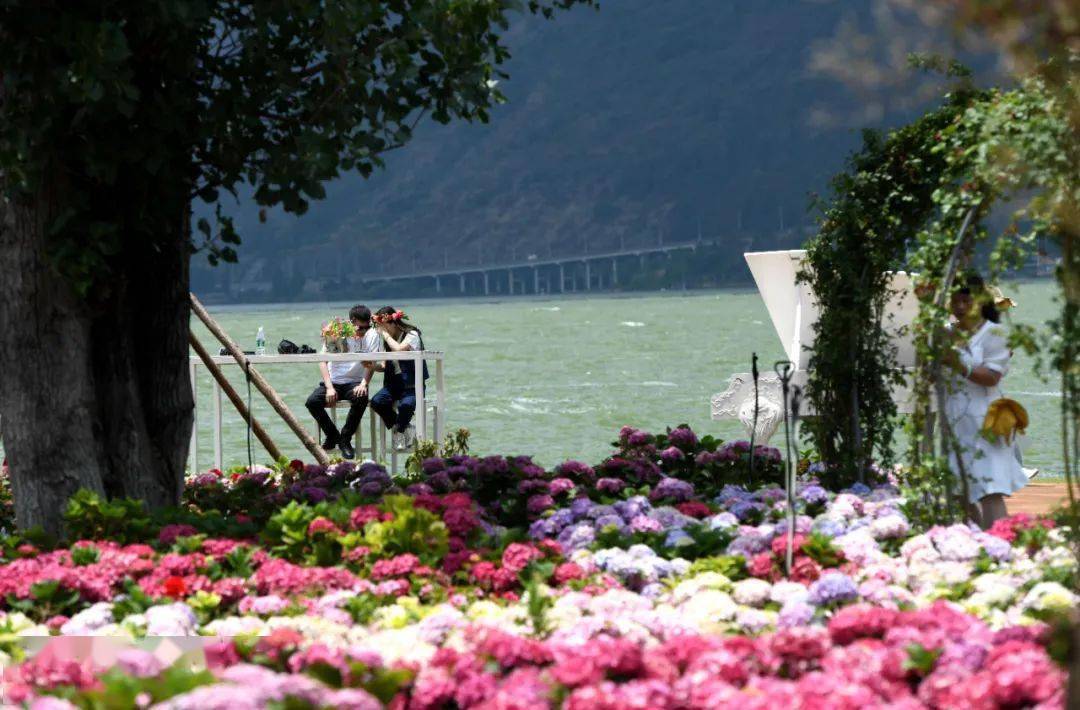昆明花海旅游景点_昆明花海好玩吗_昆明花海公园图片