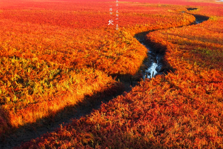 这个季节旅行好去处_适合去旅游的季节_去日惹旅游什么季节最好