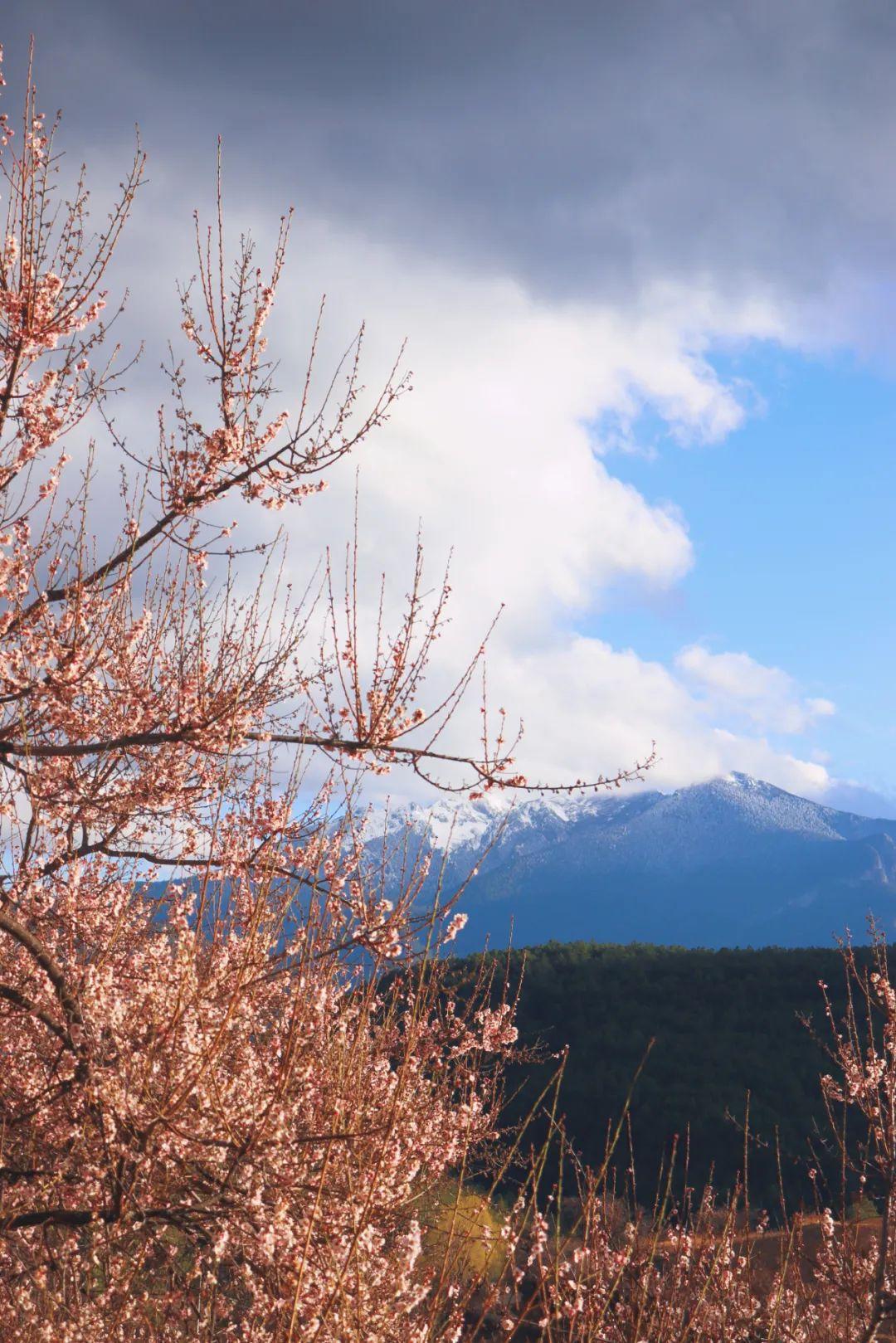 迪庆旅游攻略时节图_时节攻略旅游迪庆图片大全_迪庆旅游景点地图