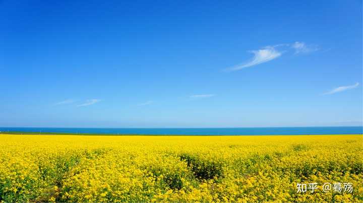 青海游玩季节_青海最佳旅游季节是几月份_青海旅游攻略季节篇