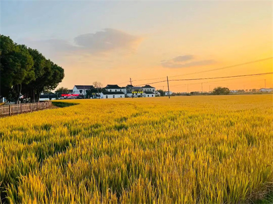 苏州相城度假区（阳澄湖镇）莲花村入选苏州市“智慧农村”示范村_fororder_图片2