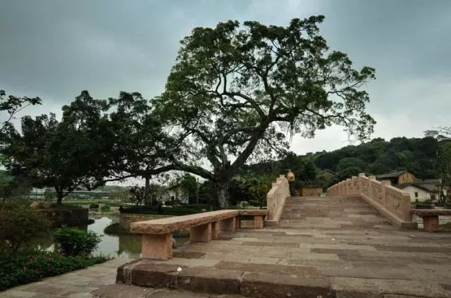 莲花旅游攻略_莲花村旅游特色_莲花村度假村