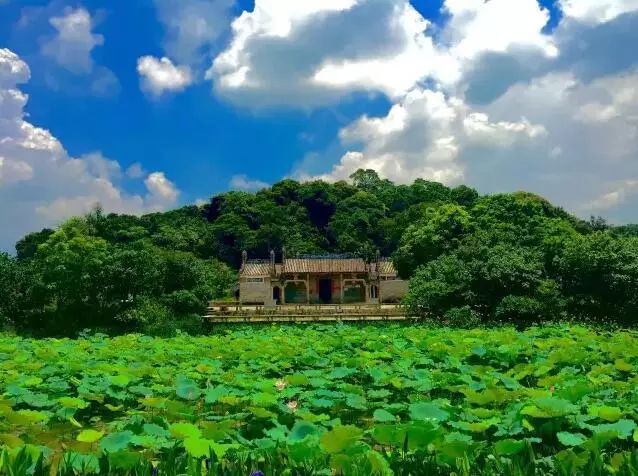 莲花旅游攻略_莲花村度假村_莲花村旅游特色