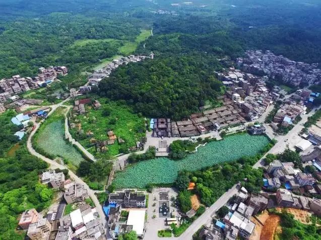 莲花村度假村_莲花村旅游特色_莲花旅游攻略