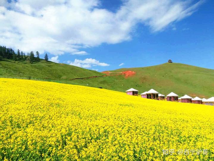 东北旅游穿搭西安露营装备_西安东北自驾游_东北冬天露营