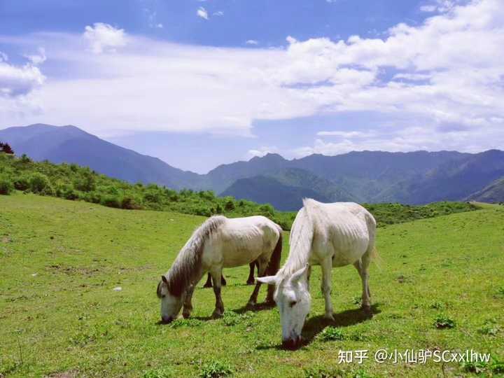 情侣成都旅游攻略_情侣成都旅游7天要多少钱_成都一天情侣旅游