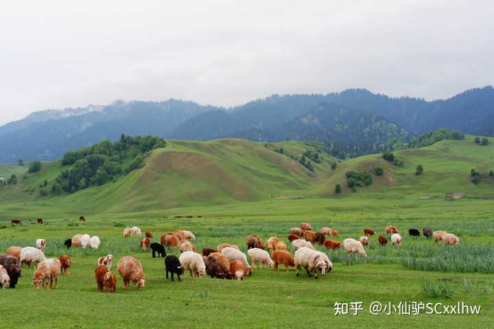 情侣成都旅游攻略_成都一天情侣旅游_情侣成都旅游7天要多少钱