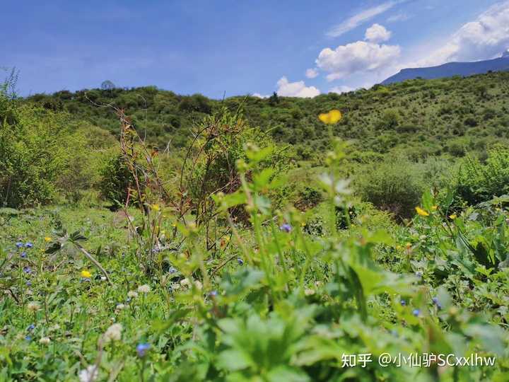 成都一天情侣旅游_情侣成都旅游攻略_情侣成都旅游7天要多少钱