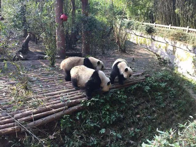 湘南有哪些旅游景点_湘南旅游地区有哪些_旅游地区湘南有什么景点