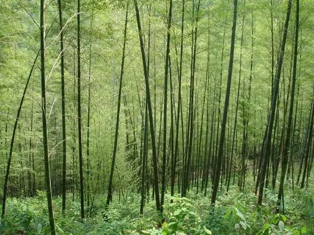 谷城县旅游景点_谷城旅游_谷城旅游攻略景点必去