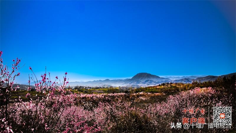 紫阳游玩有哪些地方_紫阳旅游地区有哪些_旅游紫阳地区有什么景点