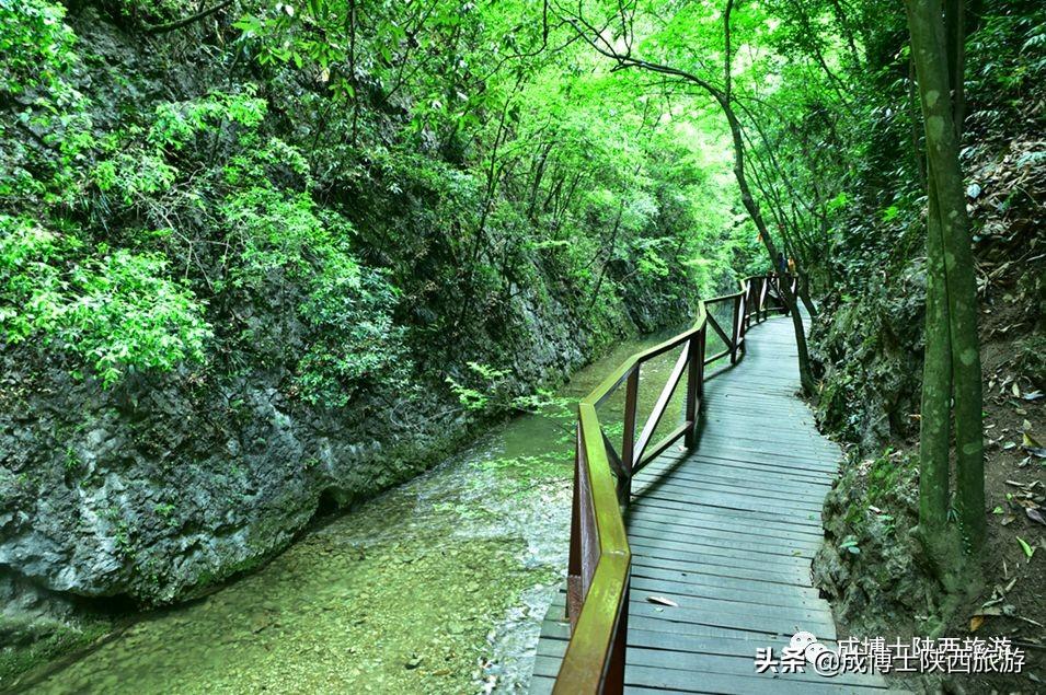 紫阳有哪些旅游景点_紫阳旅游地区有哪些_旅游紫阳地区有哪些