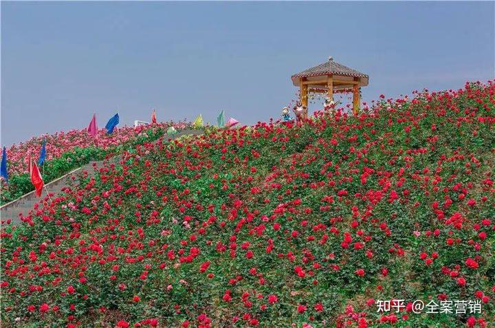 广西横州市旅游景点_横州市的特色旅游项目_横州特色旅游市项目介绍