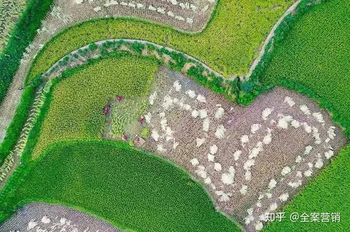 横州特色旅游市项目介绍_横州市的特色旅游项目_广西横州市旅游景点