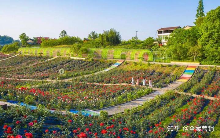 广西横州市旅游景点_横州特色旅游市项目介绍_横州市的特色旅游项目