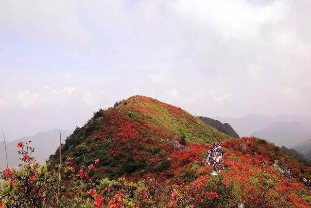 2月份适合的旅游线路有_旅游适合的月份_按月份旅游的城市