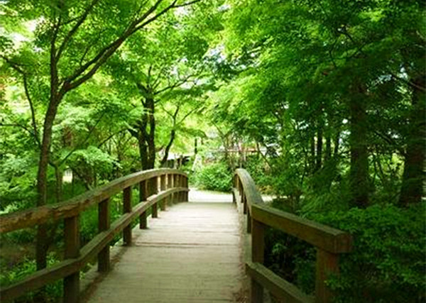 日本白川冬季降雪量丰富的原因_日本白川乡地理位置_日本白川旅游季节