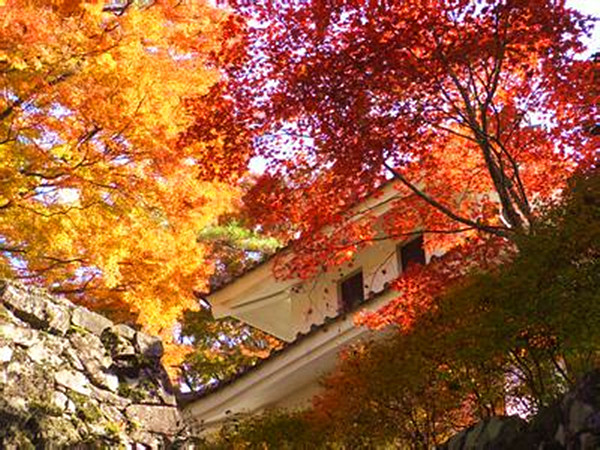 日本白川冬季降雪量丰富的原因_日本白川旅游季节_日本白川乡地理位置