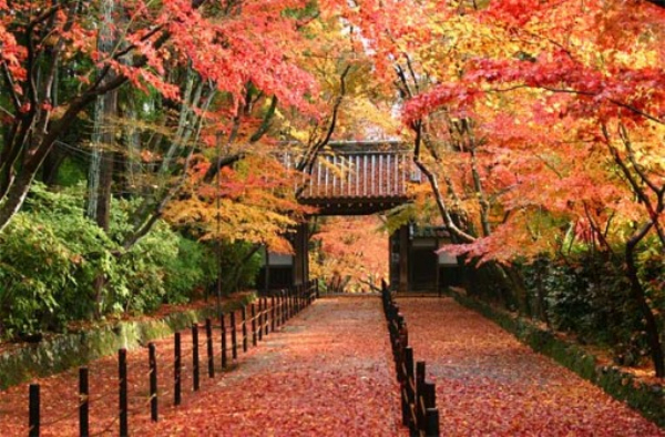 日本白川冬季降雪量丰富的原因_日本白川乡地理位置_日本白川旅游季节