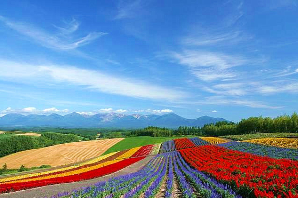 日本白川旅游季节_日本白川乡地理位置_日本白川冬季降雪量丰富的原因