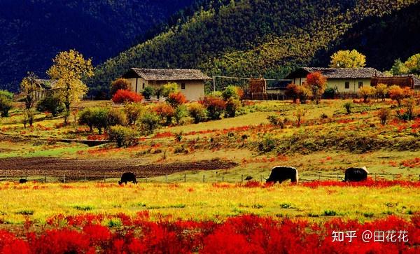 措普沟自驾游最佳季节_措沟季节景区旅游路线图_措普沟景区旅游季节