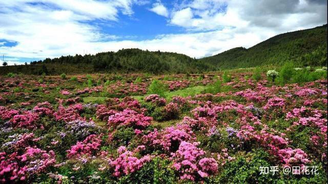 措沟季节景区旅游路线图_措普沟自驾游最佳季节_措普沟景区旅游季节