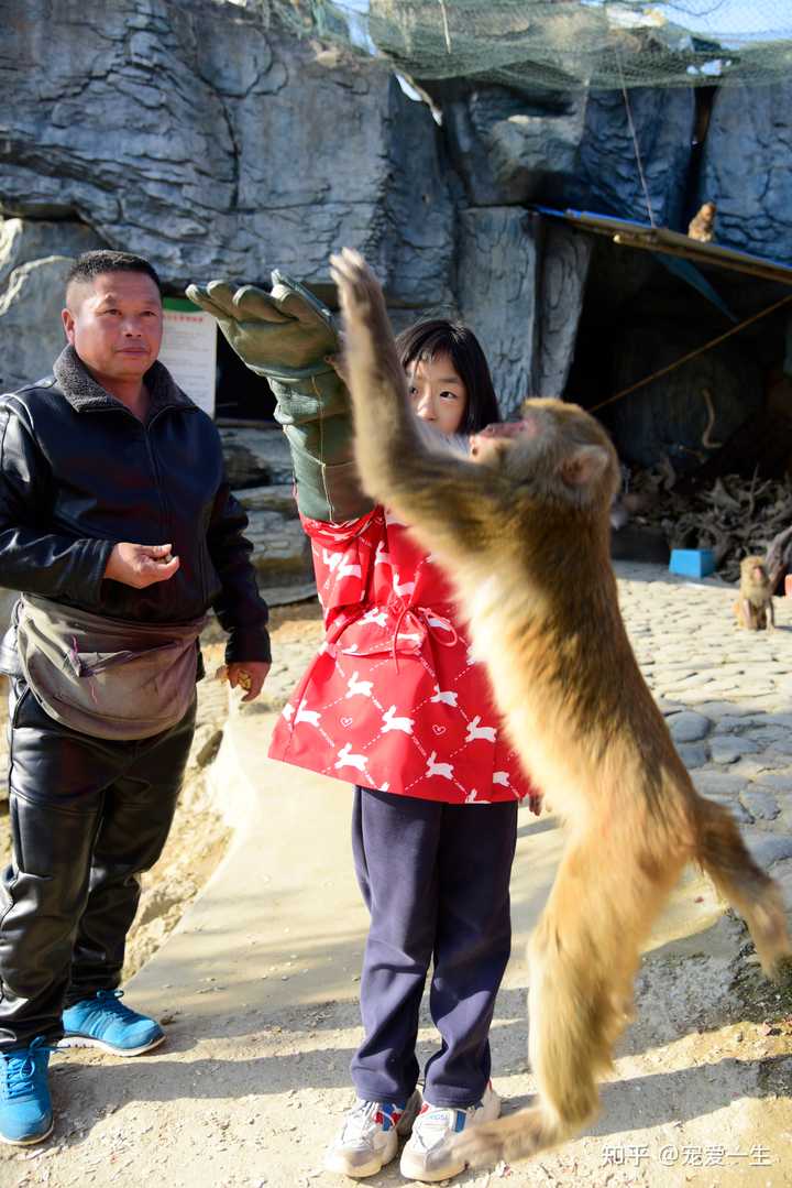 安徽宏村旅游图片_安徽宏村风景色彩图片_安微宏村旅游景点图片